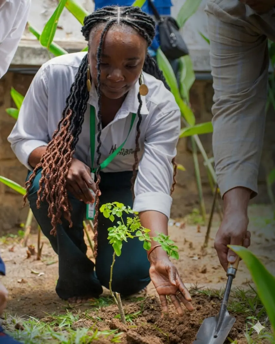 Forêt luxuriante représentant les projets de Human Empress